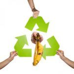 Ahorra con el reciclaje de tu comida