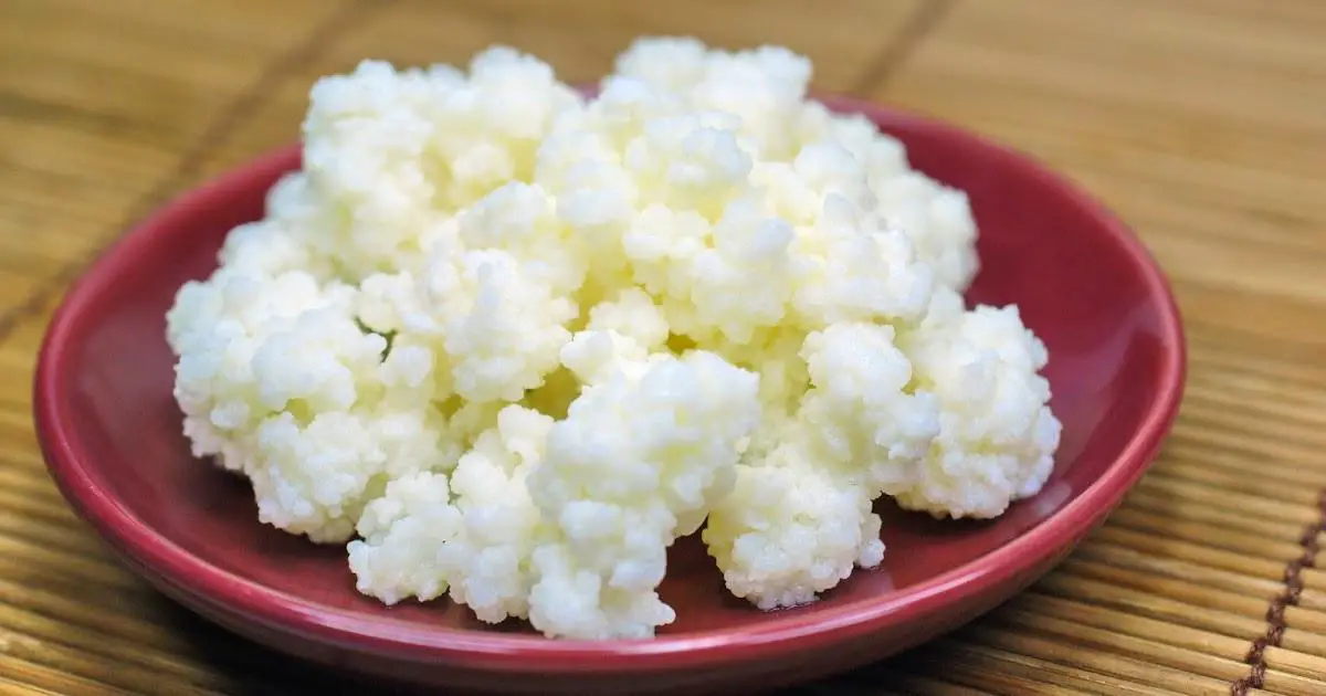 kefir. Kefir propiedades